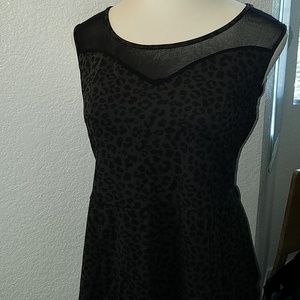 Animal print peplum top